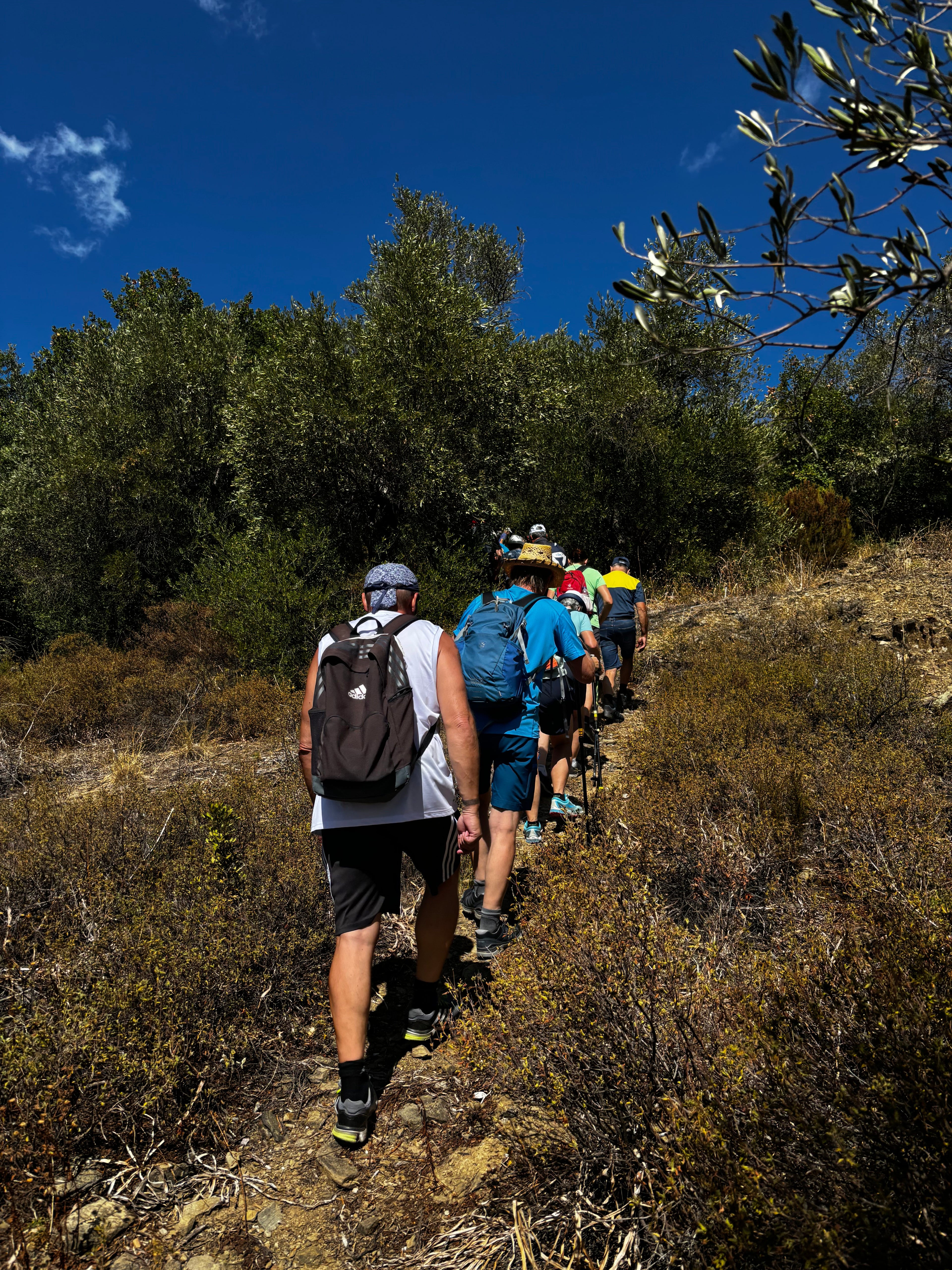 Cleaning and maintenance Skopelos trails