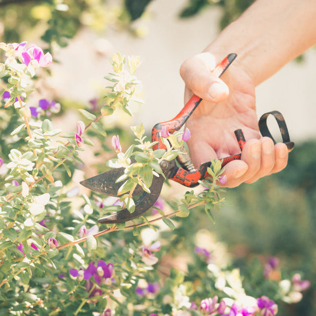 Garden and yard maintenance Skopelos